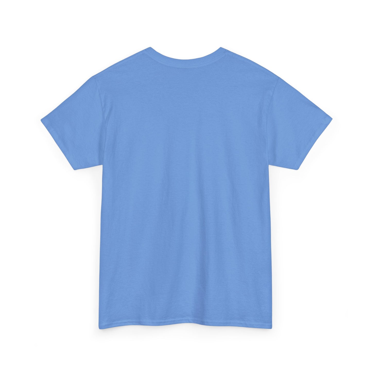 Custom Family Reunion Tee - Washington Family (Est. 2025) - Unisex Heavy Cotton