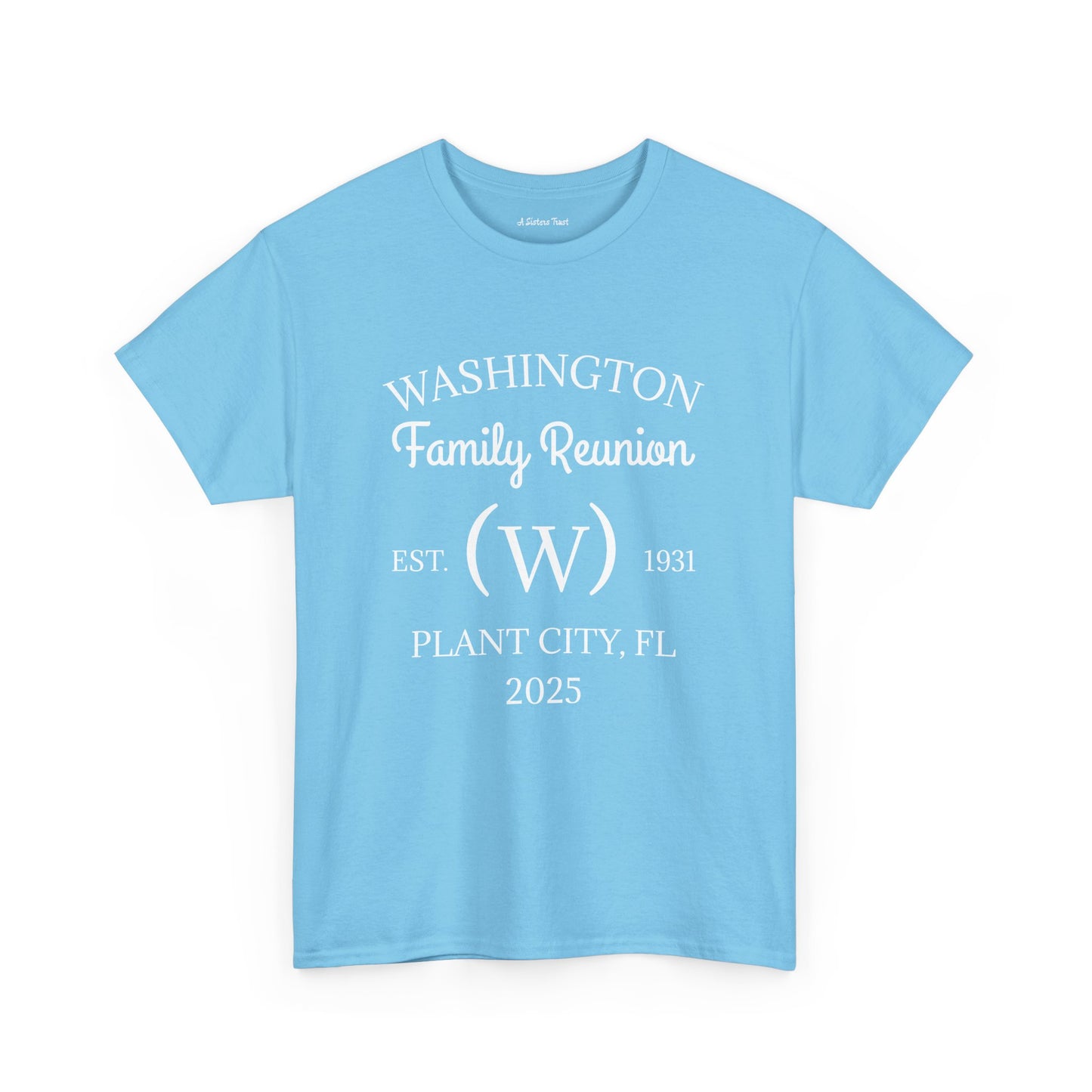 Custom Family Reunion Tee - Washington Family (Est. 2025) - Unisex Heavy Cotton