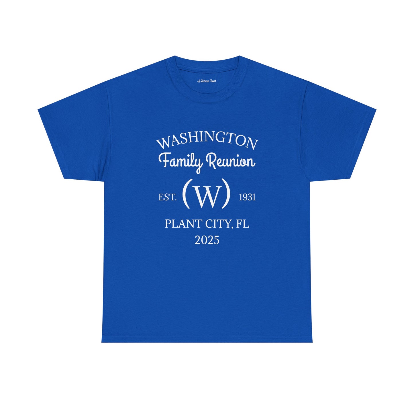 Custom Family Reunion Tee - Washington Family (Est. 2025) - Unisex Heavy Cotton