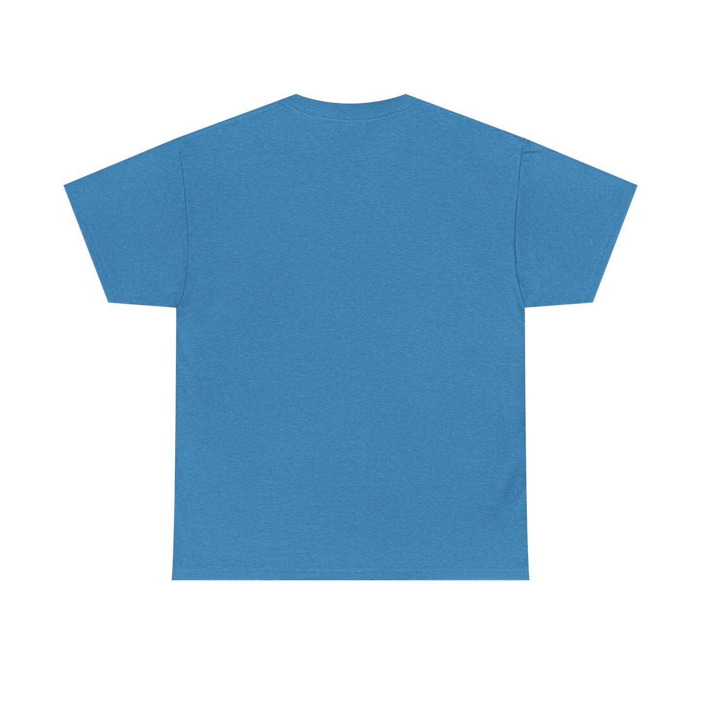 Custom Family Reunion Tee - Washington Family (Est. 2025) - Unisex Heavy Cotton