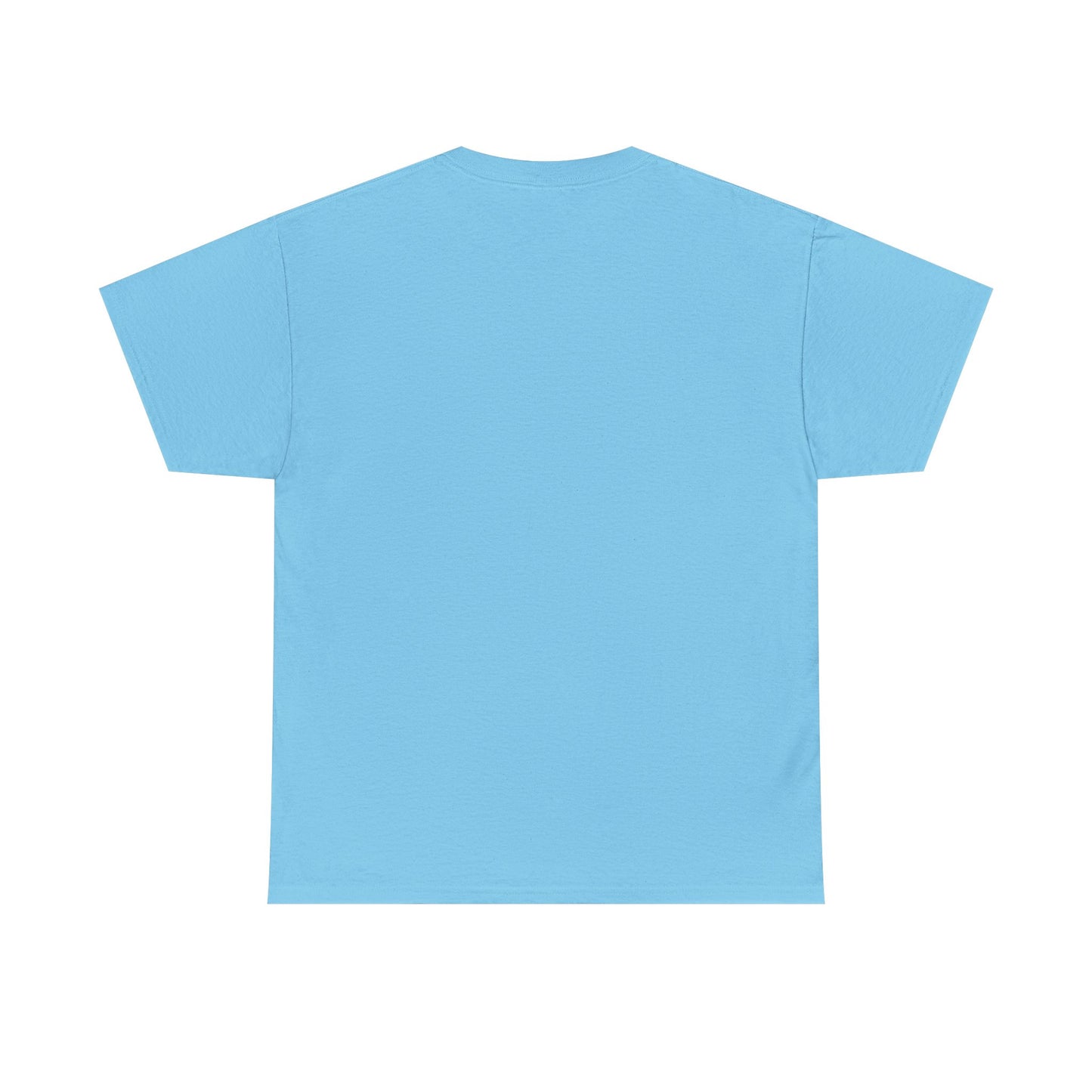 Custom Family Reunion Tee - Washington Family (Est. 2025) - Unisex Heavy Cotton