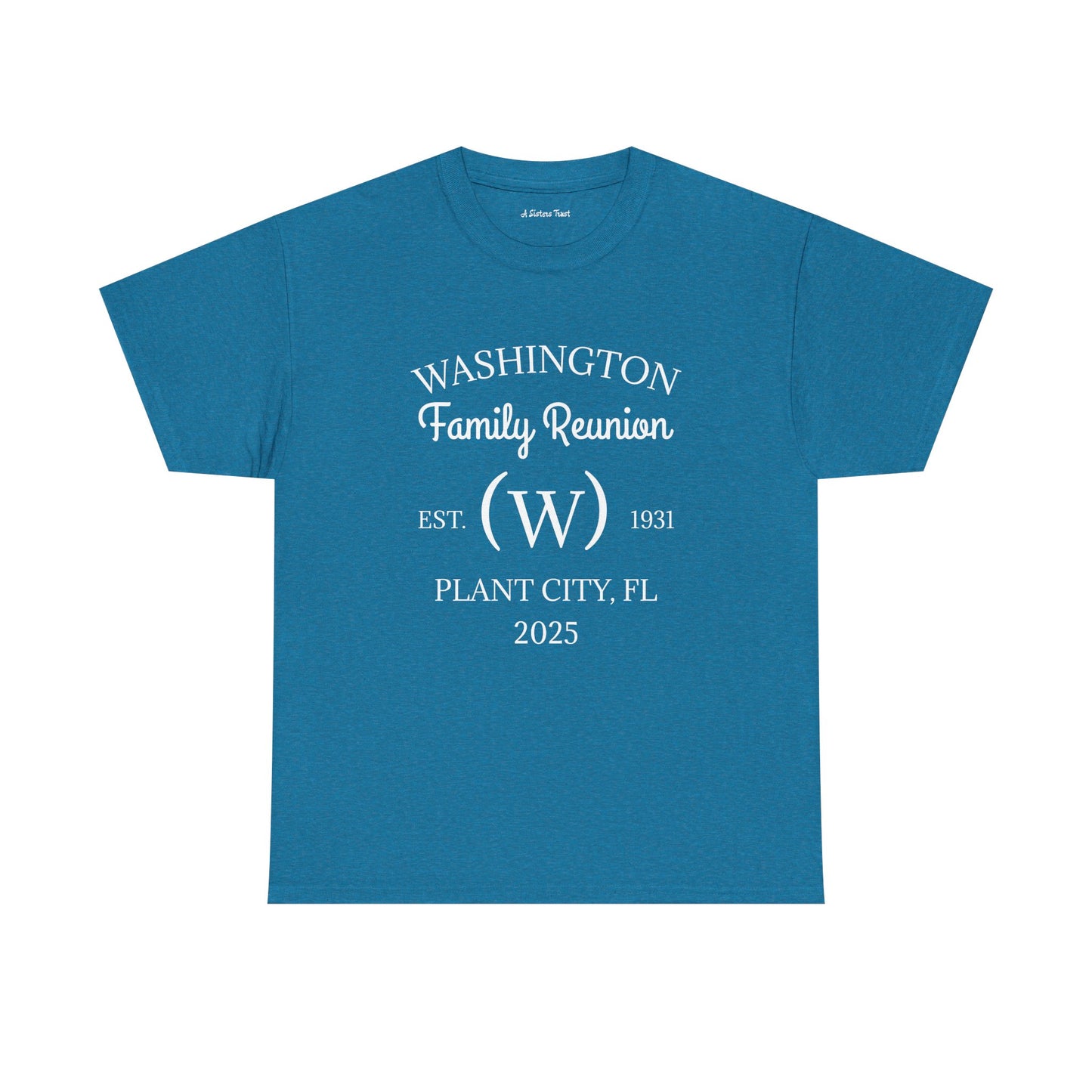 Custom Family Reunion Tee - Washington Family (Est. 2025) - Unisex Heavy Cotton