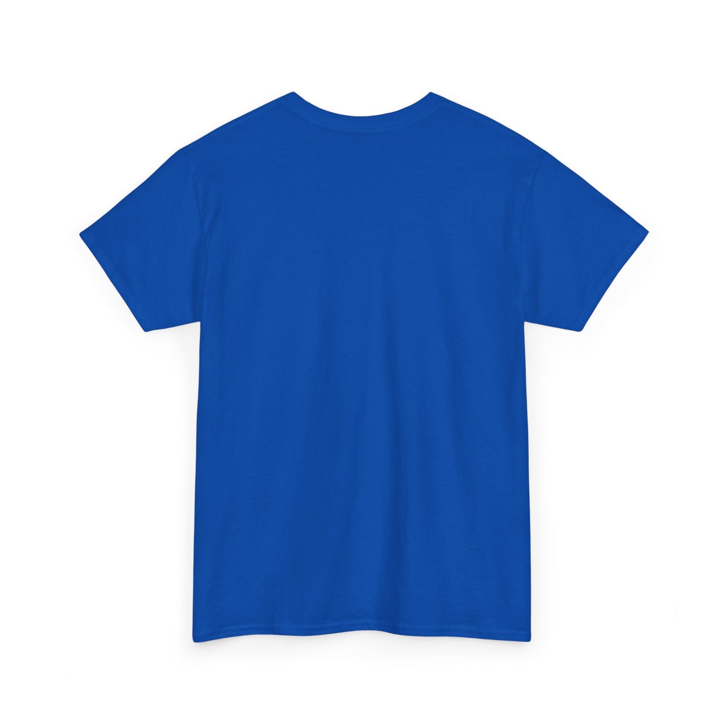Custom Family Reunion Tee - Washington Family (Est. 2025) - Unisex Heavy Cotton