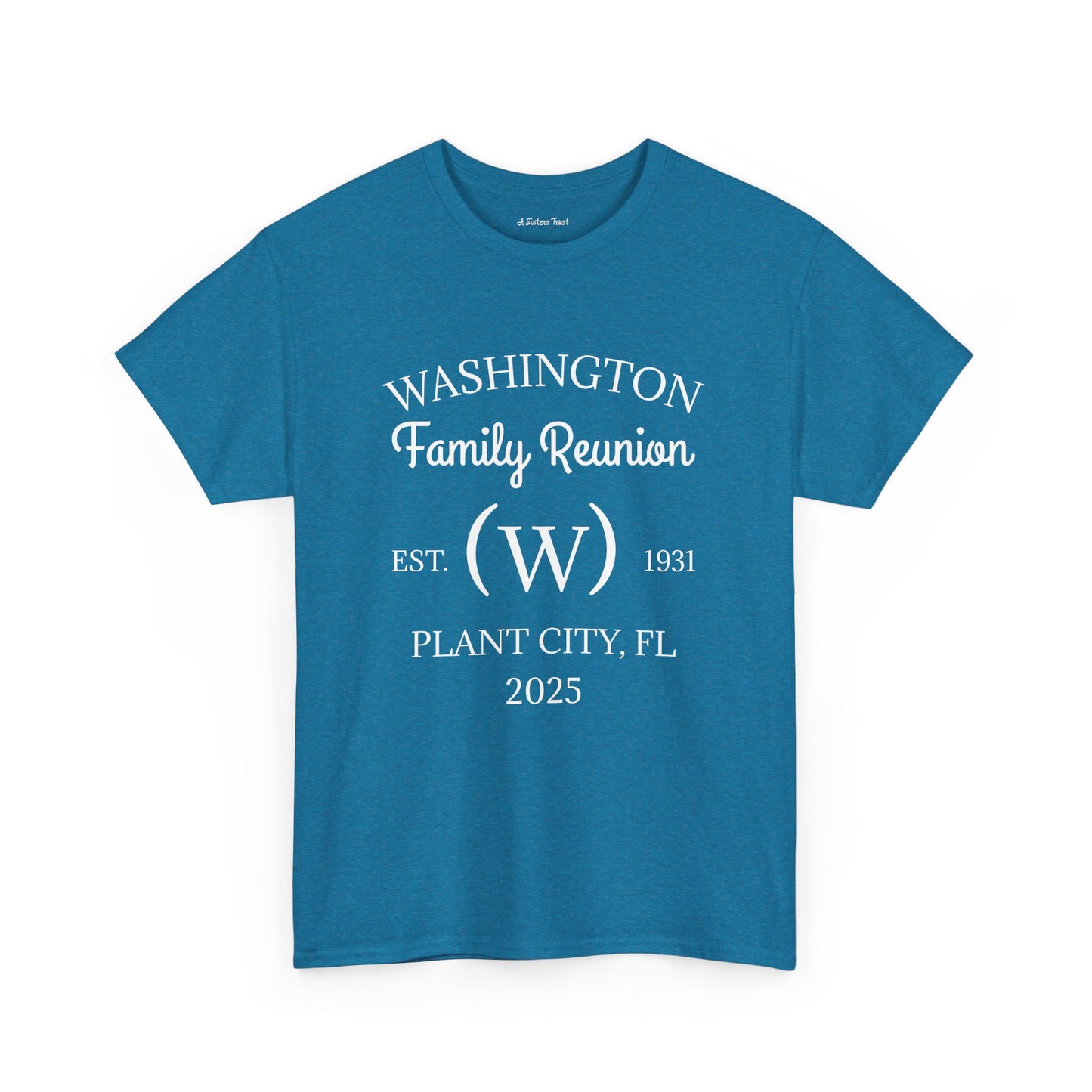 Custom Family Reunion Tee - Washington Family (Est. 2025) - Unisex Heavy Cotton