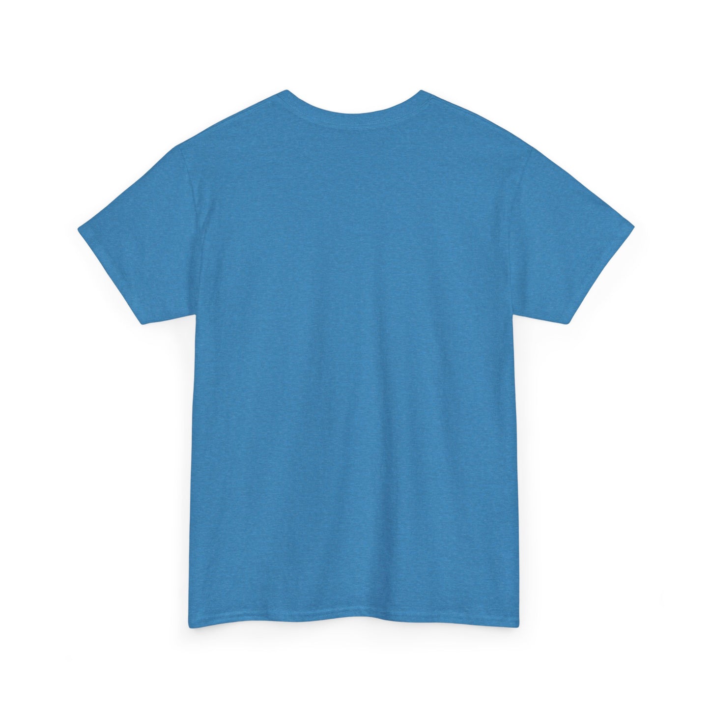 Custom Family Reunion Tee - Washington Family (Est. 2025) - Unisex Heavy Cotton