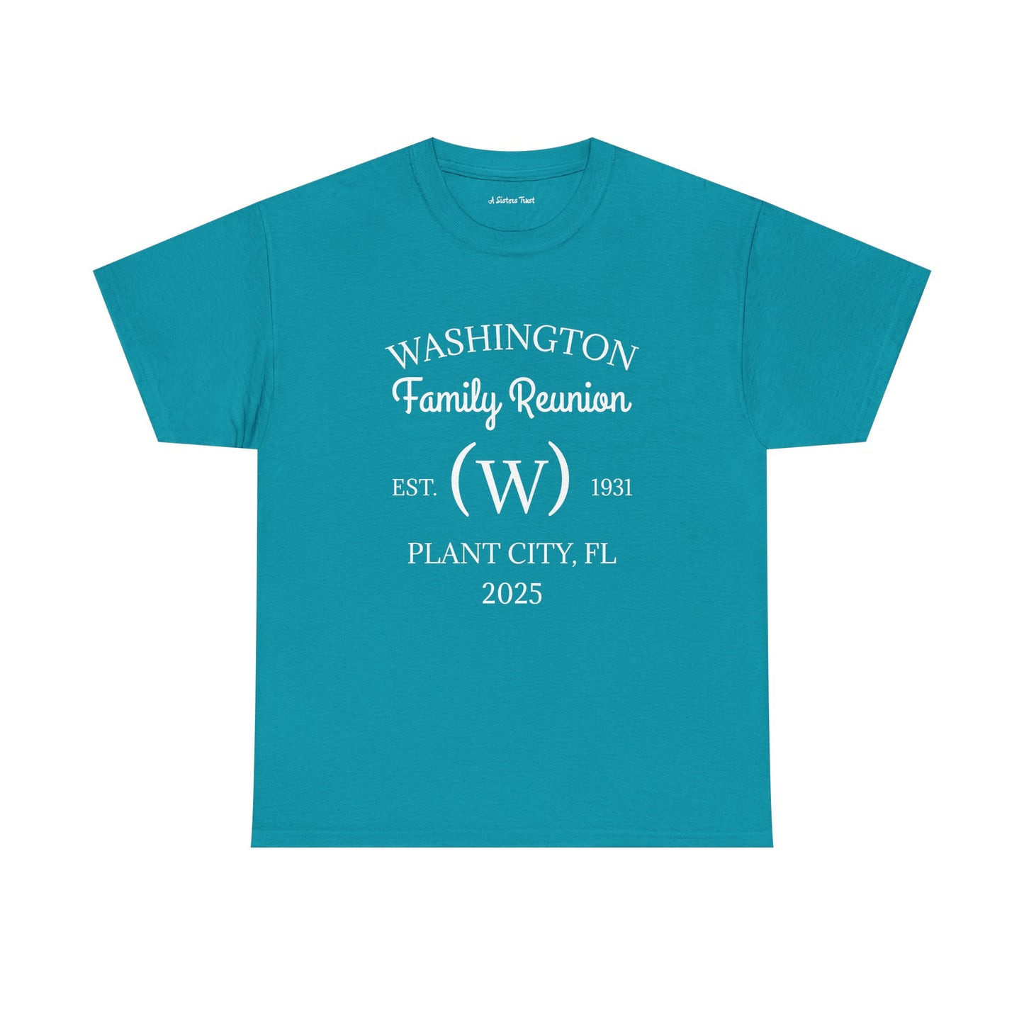 Custom Family Reunion Tee - Washington Family (Est. 2025) - Unisex Heavy Cotton