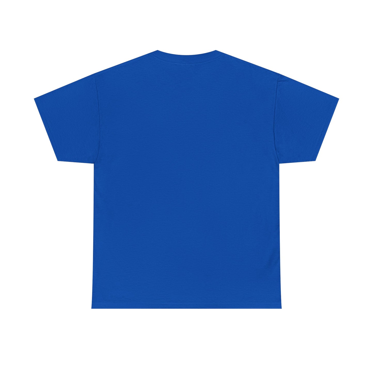 Custom Family Reunion Tee - Washington Family (Est. 2025) - Unisex Heavy Cotton