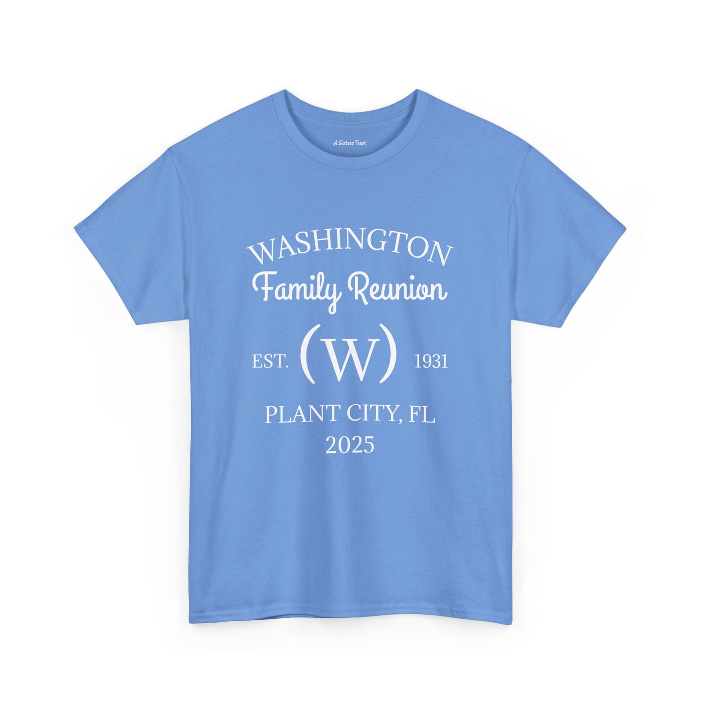Custom Family Reunion Tee - Washington Family (Est. 2025) - Unisex Heavy Cotton