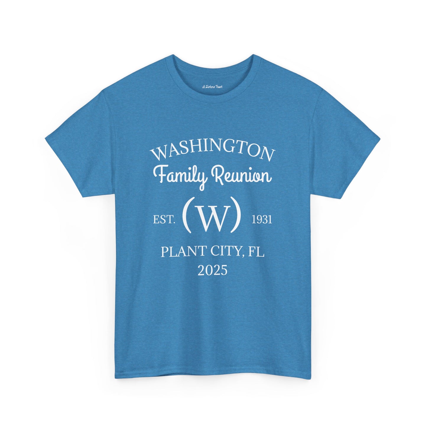 Custom Family Reunion Tee - Washington Family (Est. 2025) - Unisex Heavy Cotton