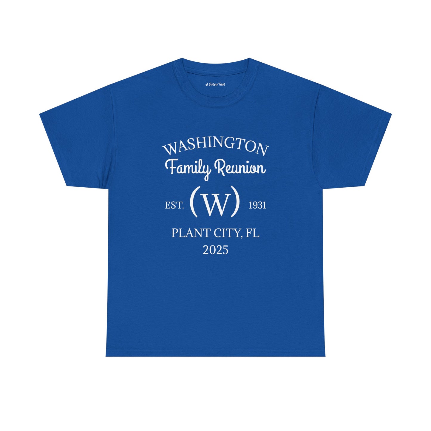 Custom Family Reunion Tee - Washington Family (Est. 2025) - Unisex Heavy Cotton