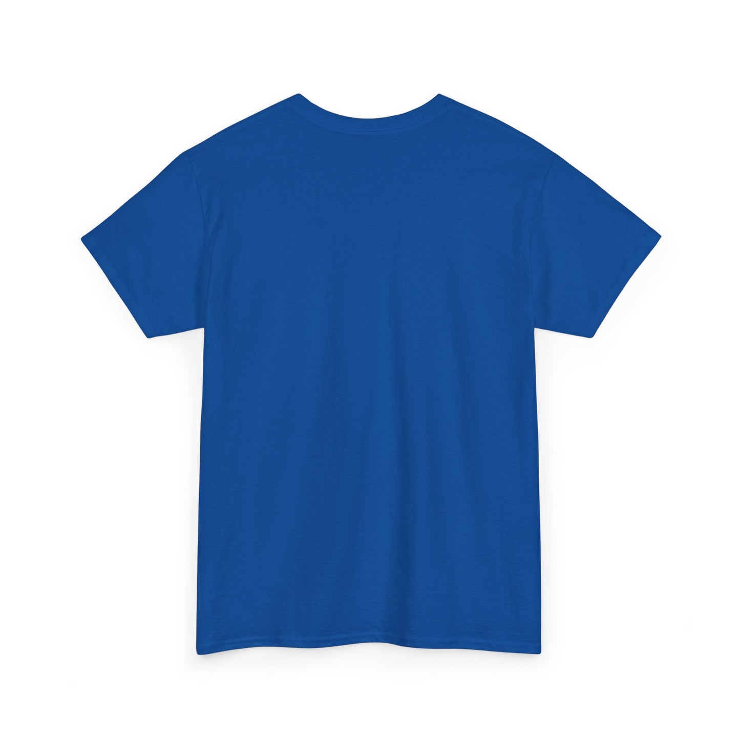 Custom Family Reunion Tee - Washington Family (Est. 2025) - Unisex Heavy Cotton