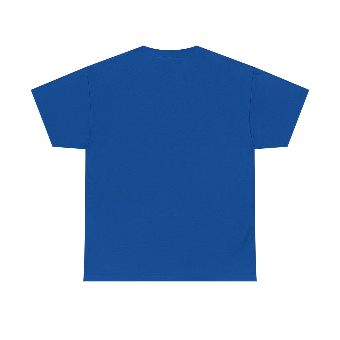 Custom Family Reunion Tee - Washington Family (Est. 2025) - Unisex Heavy Cotton