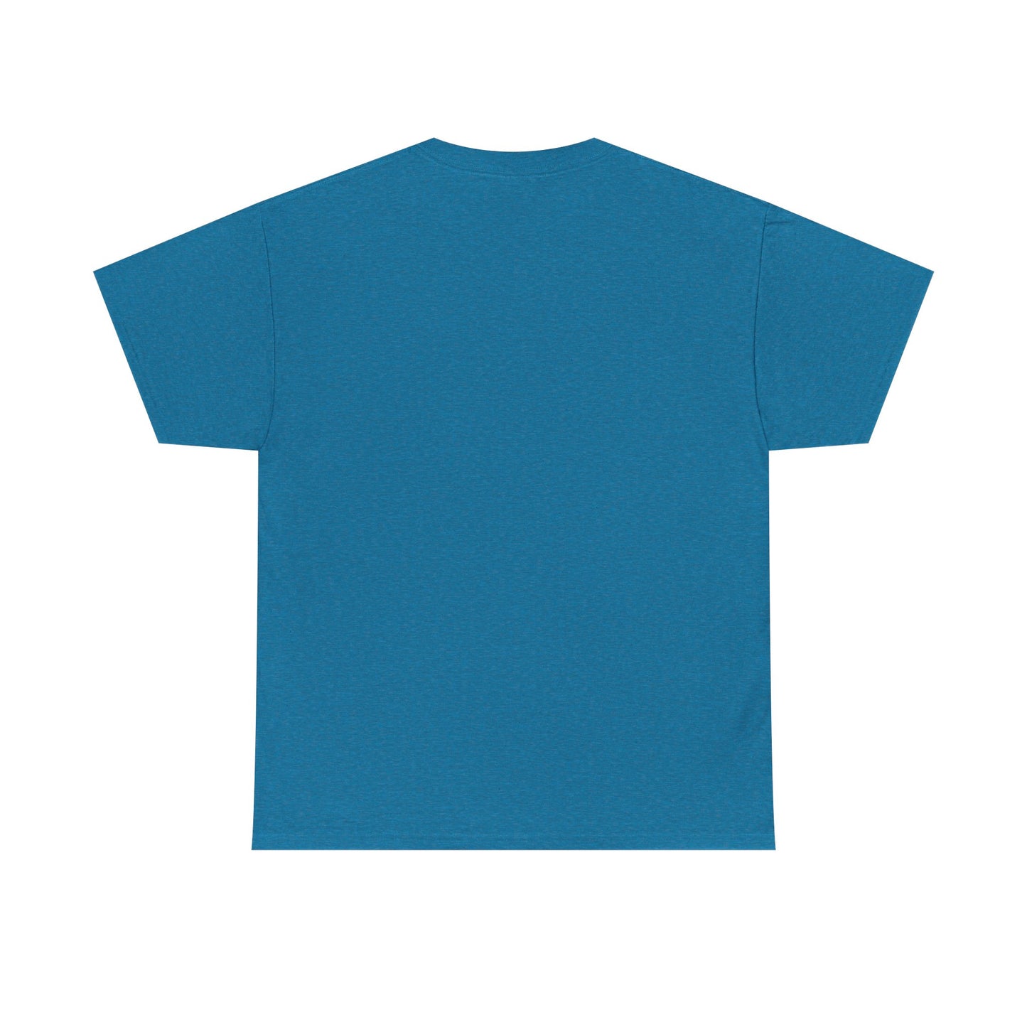 Custom Family Reunion Tee - Washington Family (Est. 2025) - Unisex Heavy Cotton