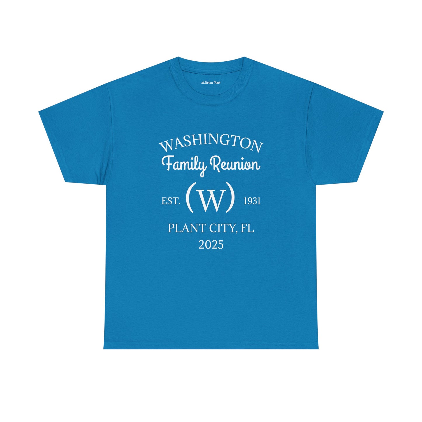 Custom Family Reunion Tee - Washington Family (Est. 2025) - Unisex Heavy Cotton