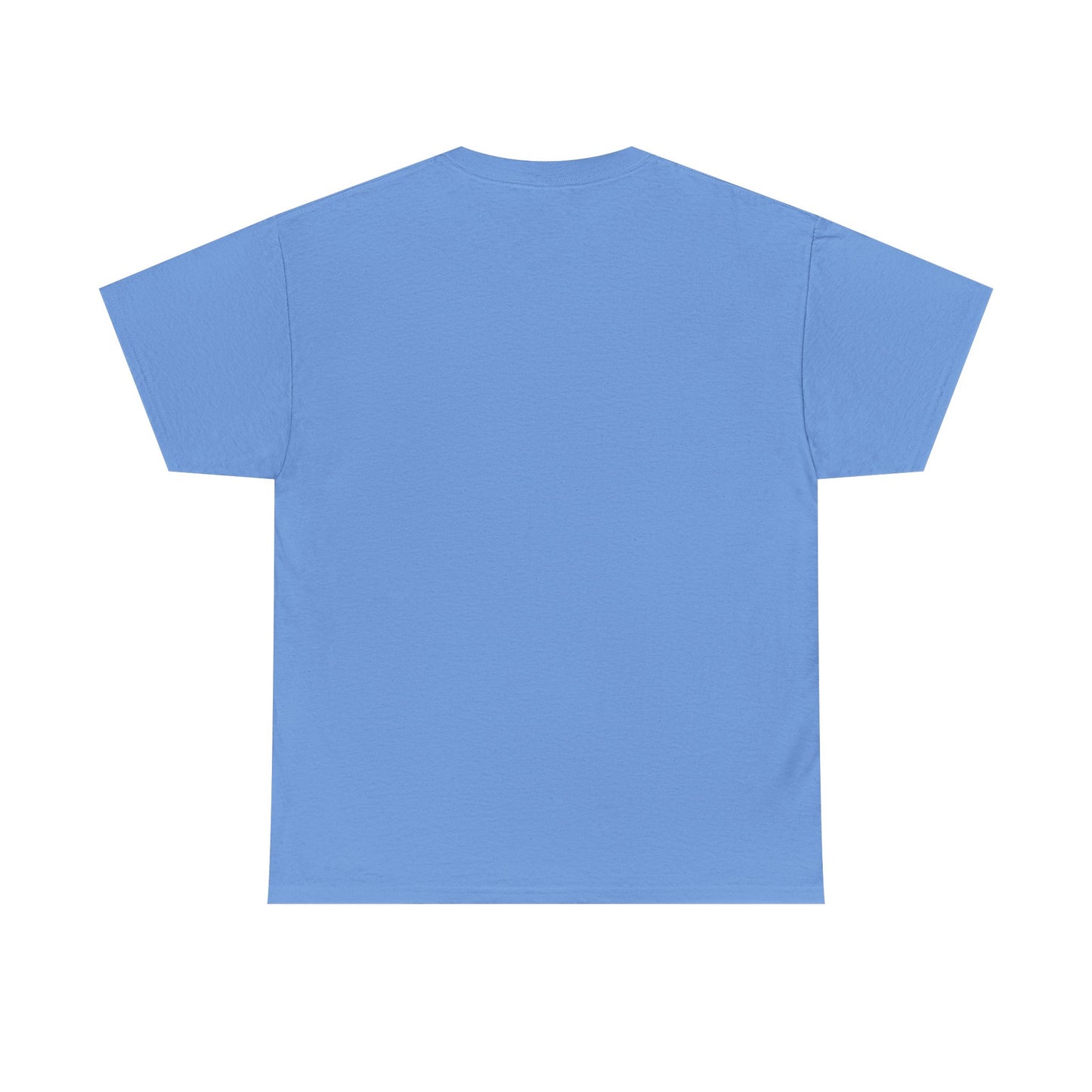Custom Family Reunion Tee - Washington Family (Est. 2025) - Unisex Heavy Cotton