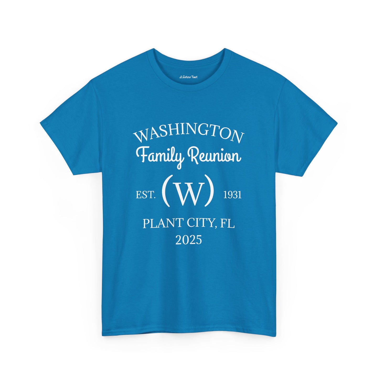Custom Family Reunion Tee - Washington Family (Est. 2025) - Unisex Heavy Cotton