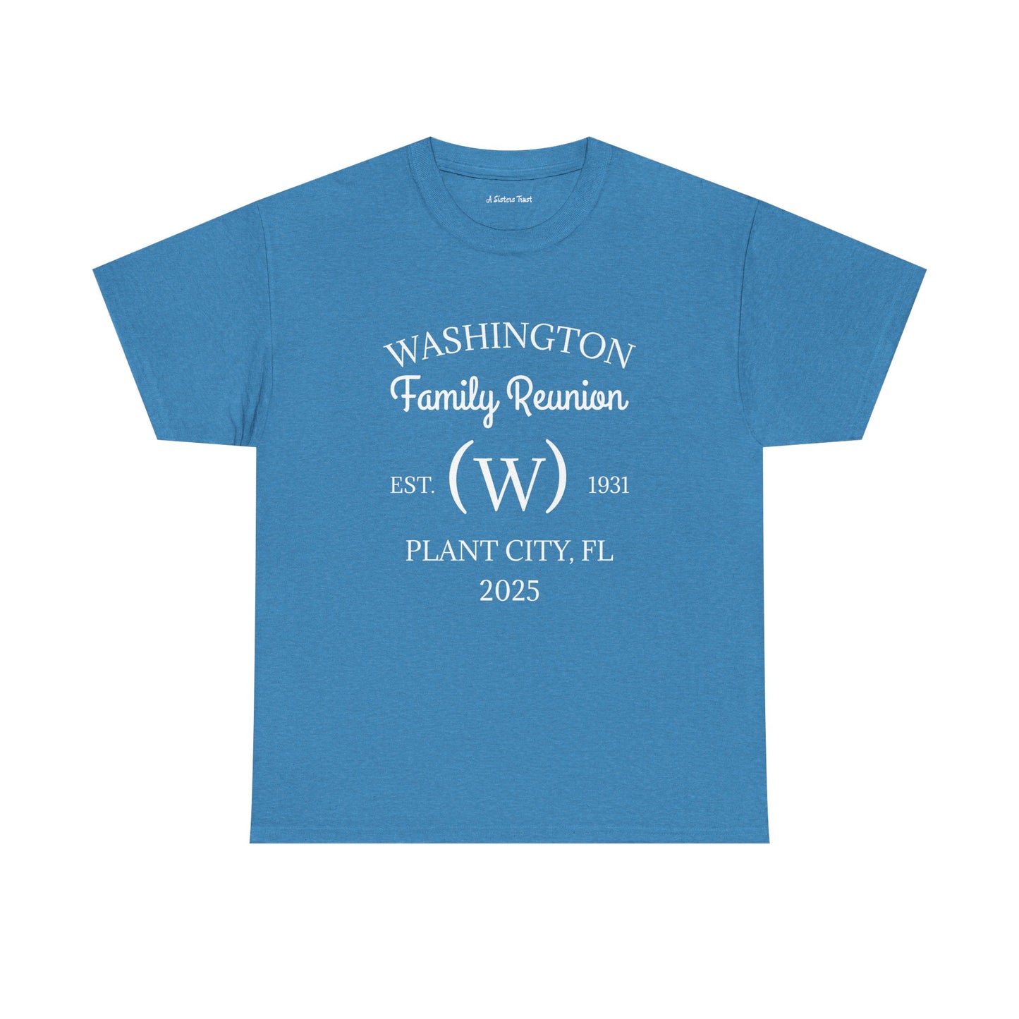 Custom Family Reunion Tee - Washington Family (Est. 2025) - Unisex Heavy Cotton