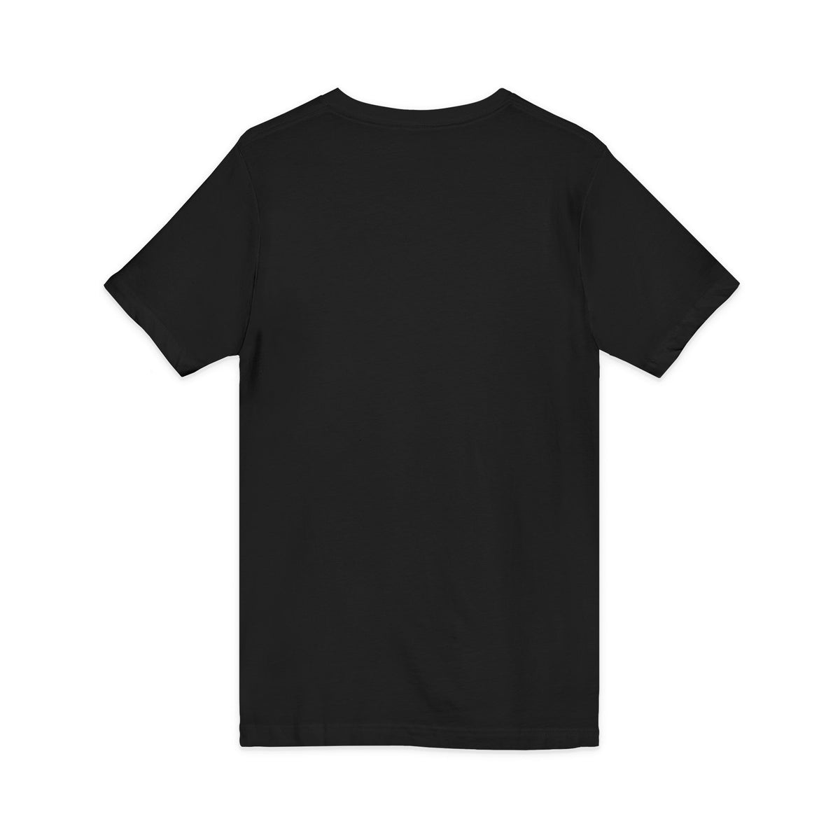 Washington Arch V-Neck Tee — Classic State Pride T-Shirt