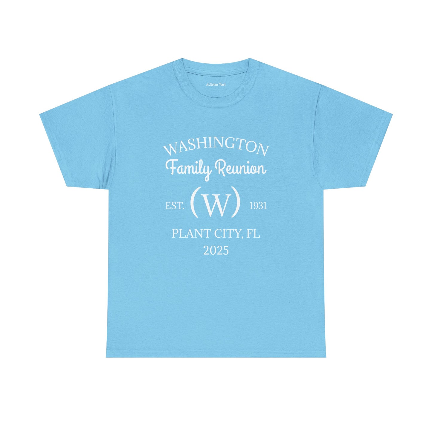 Custom Family Reunion Tee - Washington Family (Est. 2025) - Unisex Heavy Cotton