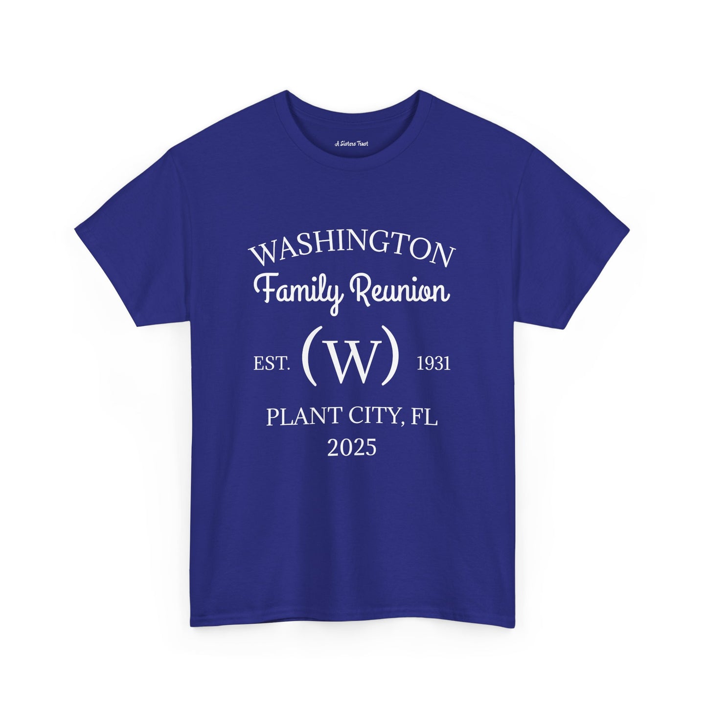 Custom Family Reunion Tee - Washington Family (Est. 2025) - Unisex Heavy Cotton