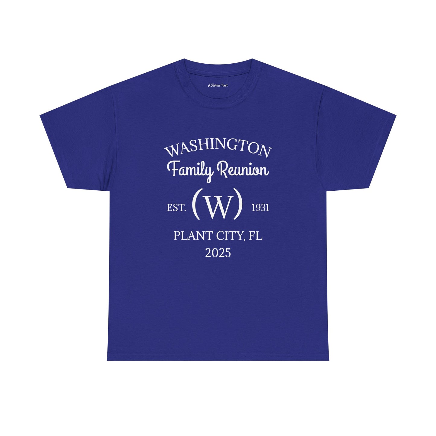 Custom Family Reunion Tee - Washington Family (Est. 2025) - Unisex Heavy Cotton