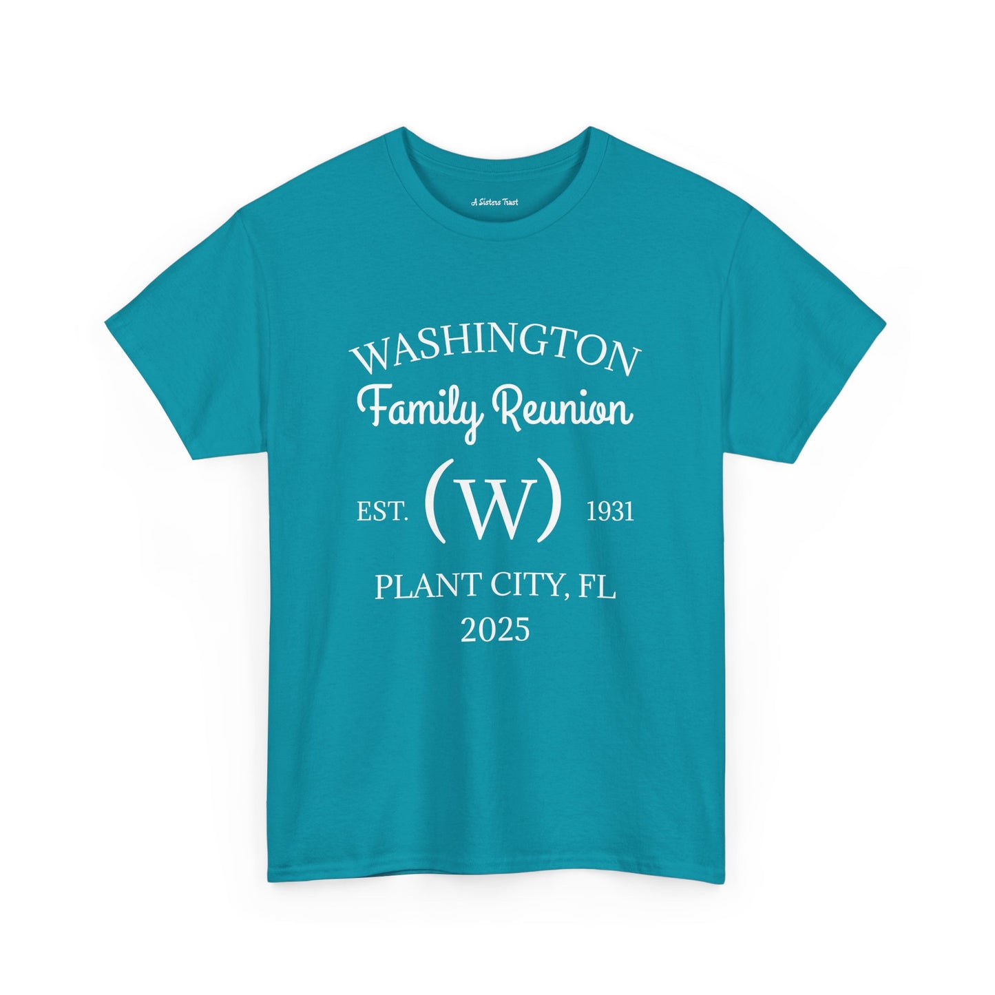 Custom Family Reunion Tee - Washington Family (Est. 2025) - Unisex Heavy Cotton