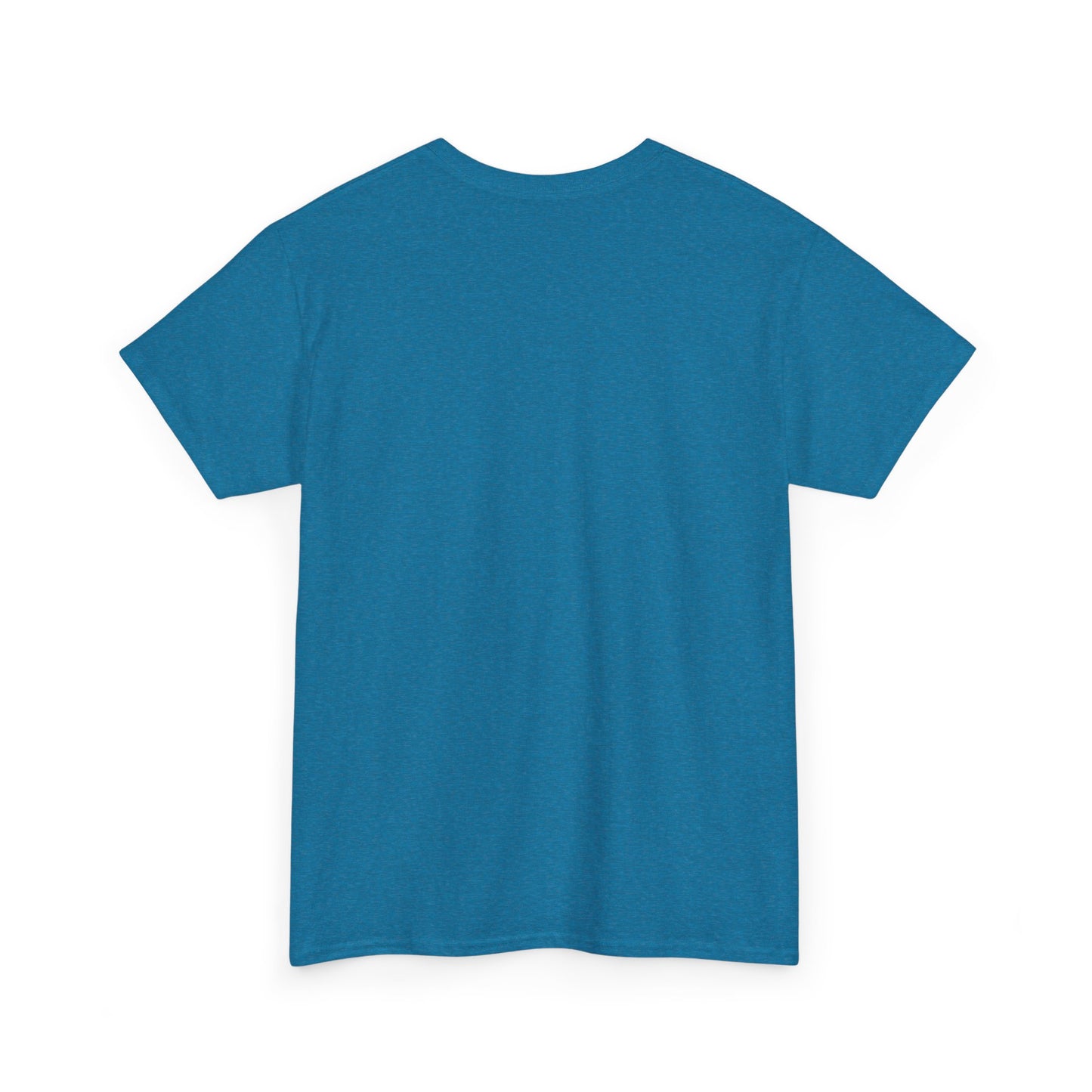 Custom Family Reunion Tee - Washington Family (Est. 2025) - Unisex Heavy Cotton