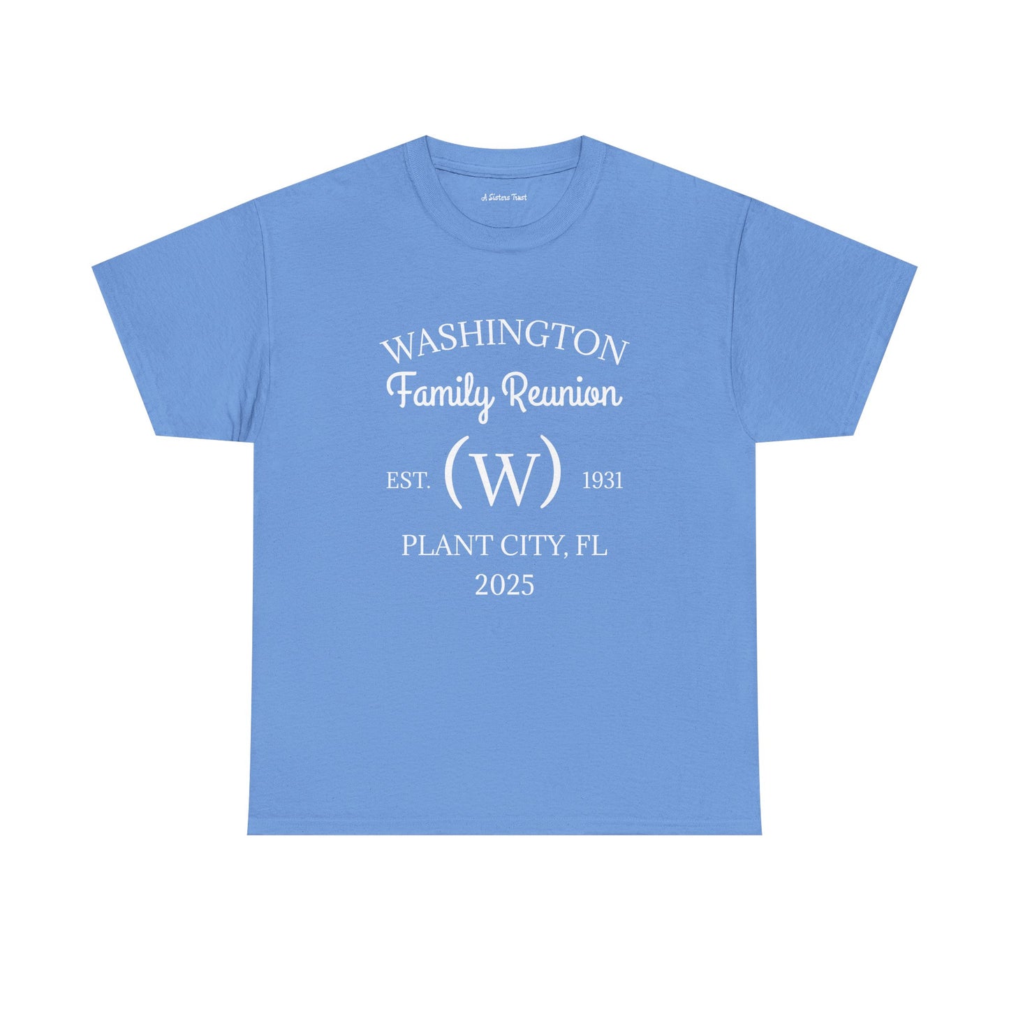 Custom Family Reunion Tee - Washington Family (Est. 2025) - Unisex Heavy Cotton